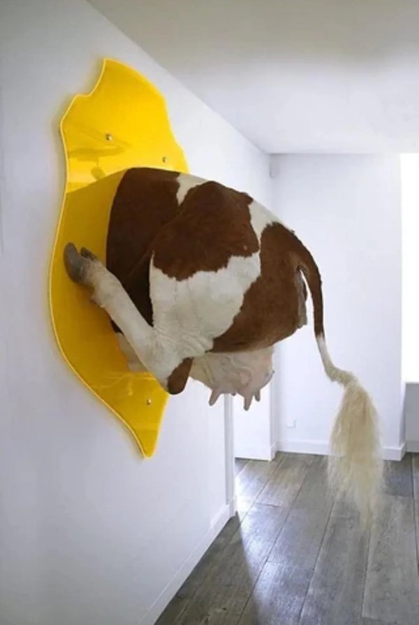 strangedesigns44_002