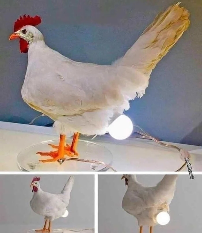 strangedesigns44_041