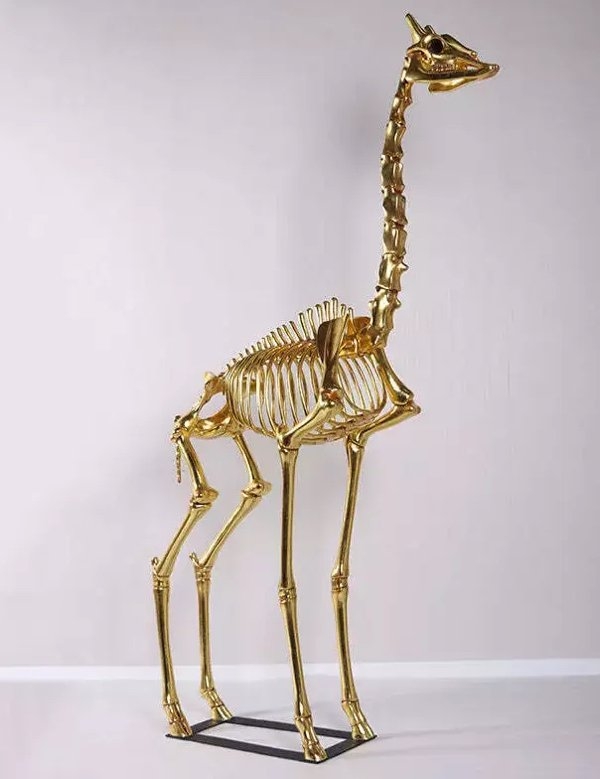 strangedesigns45_029