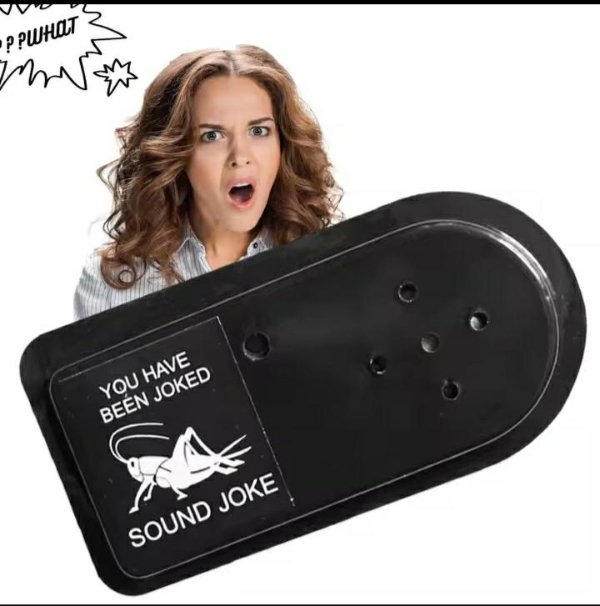 badtranslations13_007