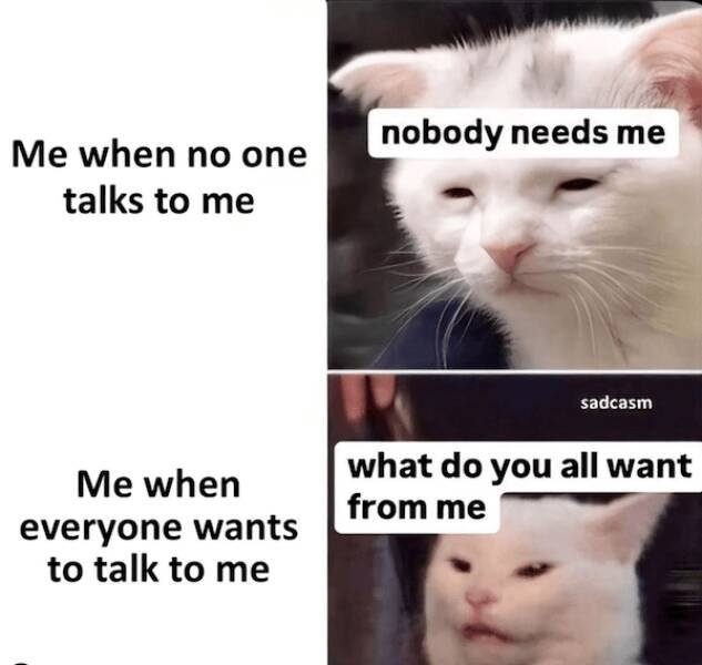 funnymemes263_020
