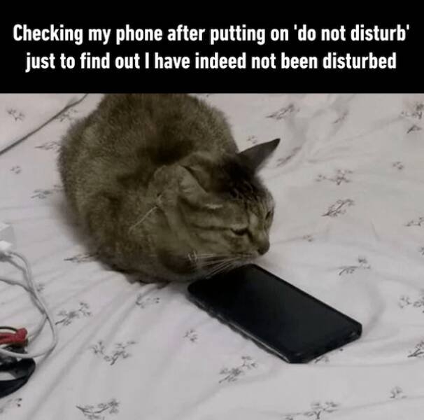 funnymemes263_029