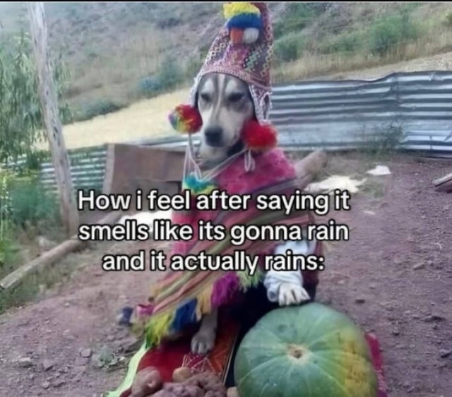 funnymemes267_002