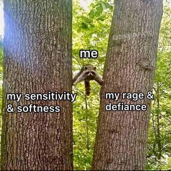 funnymemes267_004