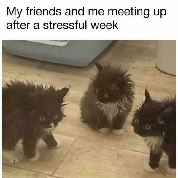 funnymemes268_039