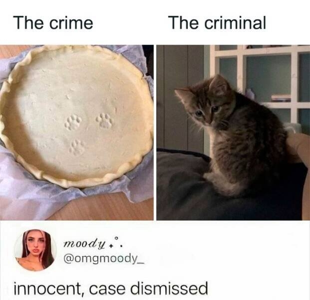 funnymemes269_002