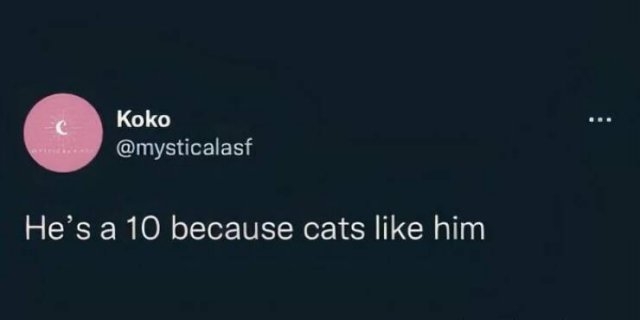 funnymemes269_005
