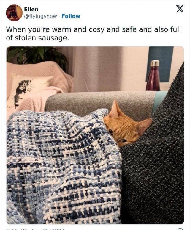 funnymemes269_006