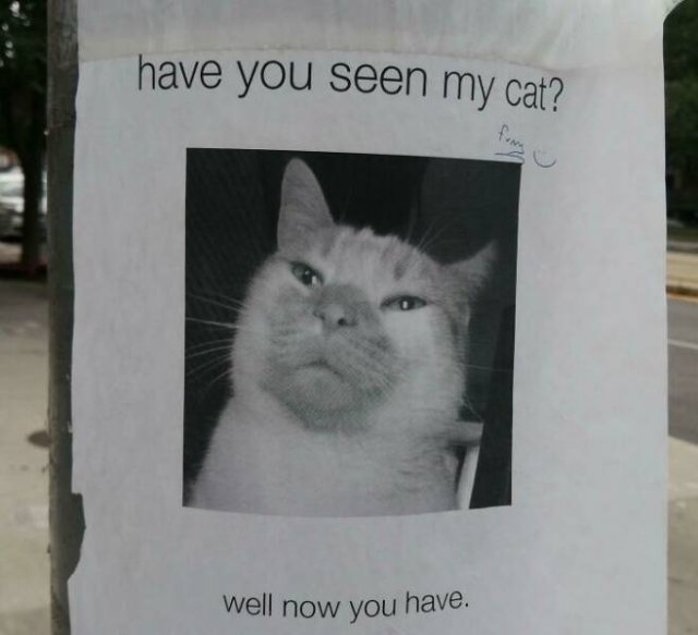 funnymemes269_007