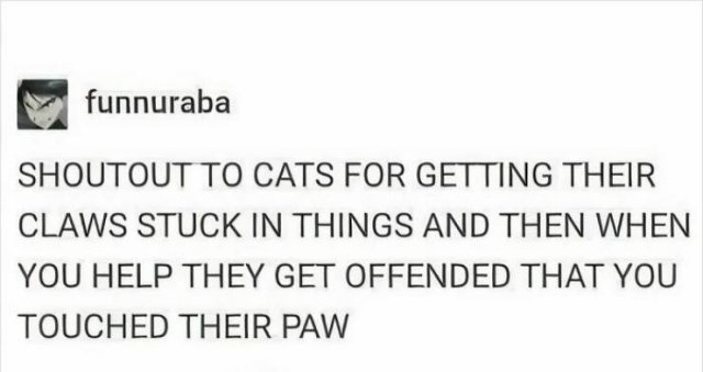 funnymemes269_008