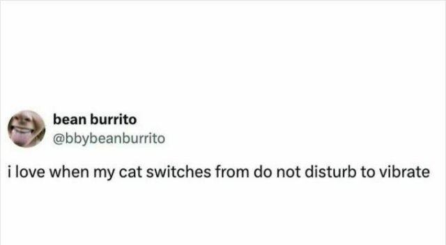 funnymemes269_009