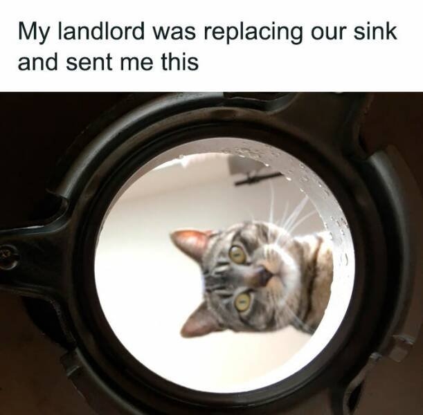 funnymemes269_010