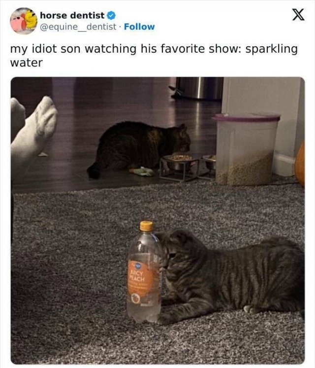 funnymemes269_011