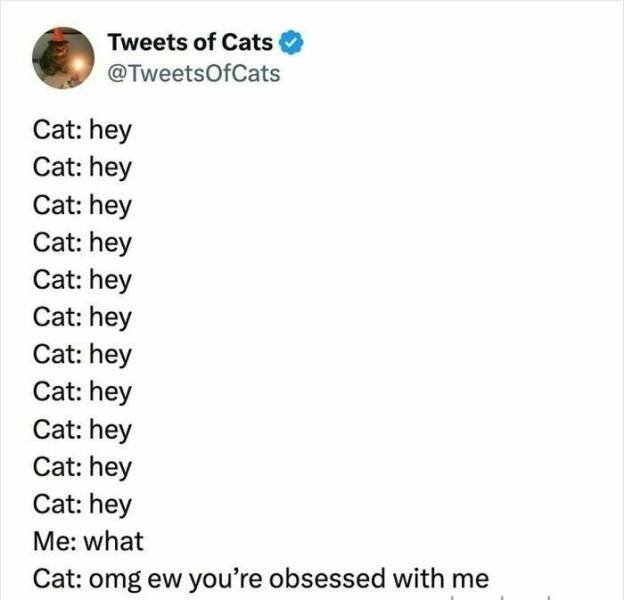 funnymemes269_013