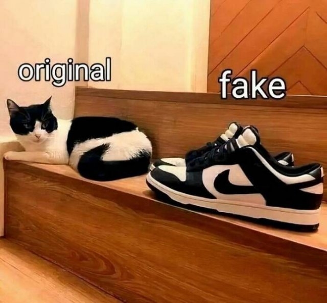 funnymemes269_015