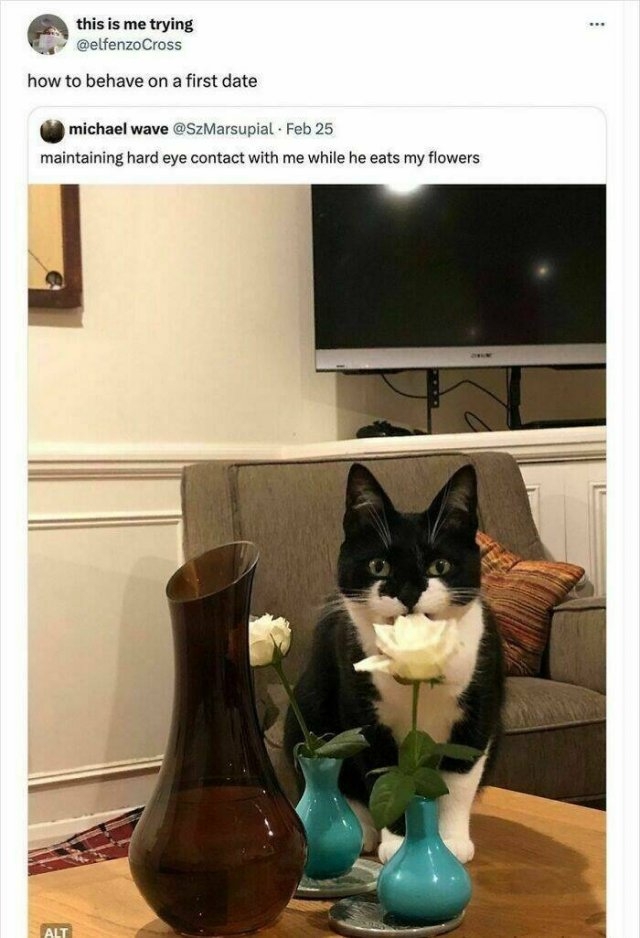funnymemes269_016