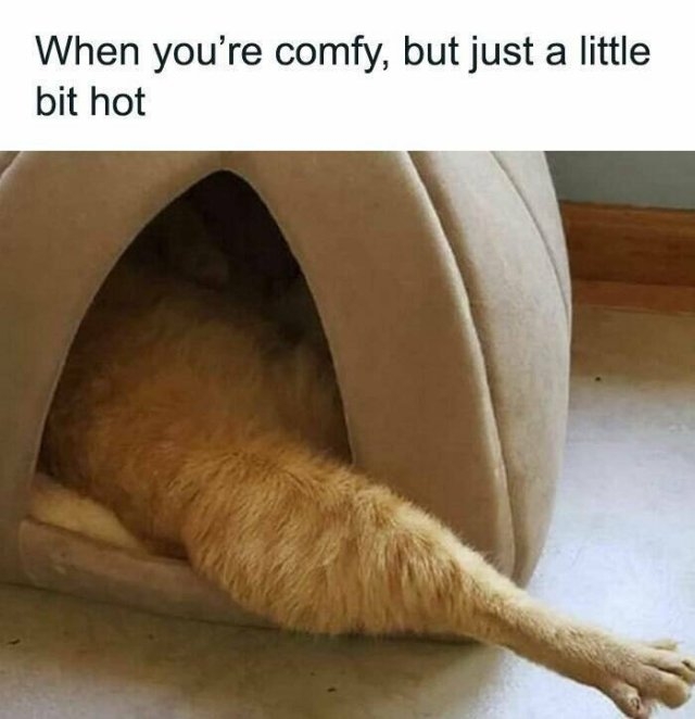 funnymemes269_017