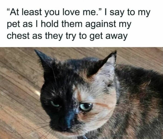 funnymemes269_021