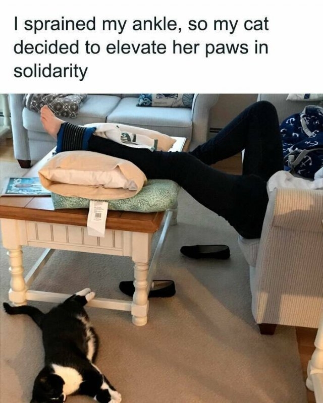 funnymemes269_024