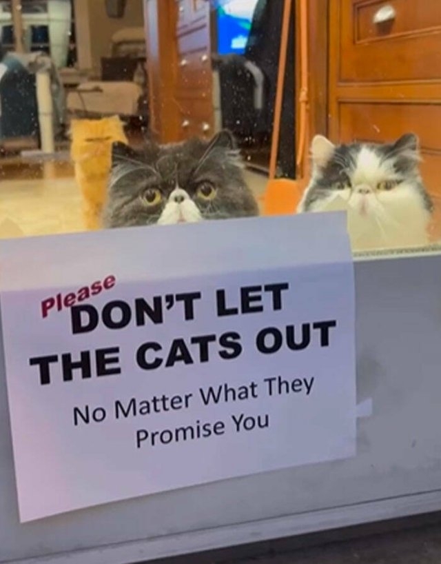 funnysigns42_035