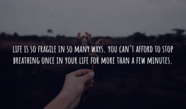 interestingfacts225_001