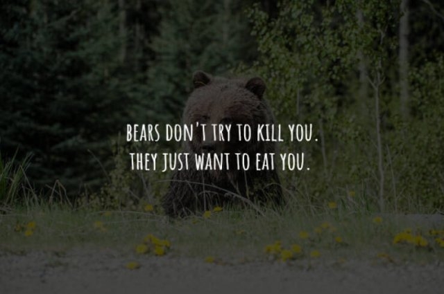 interestingfacts225_003