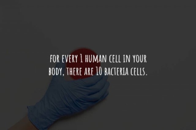 interestingfacts225_004