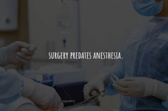 interestingfacts225_007