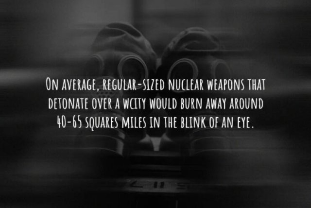 interestingfacts225_010