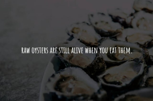 interestingfacts225_013