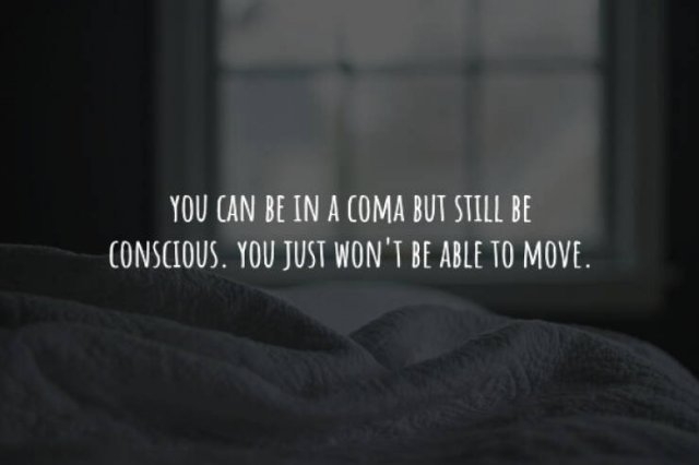 interestingfacts225_014