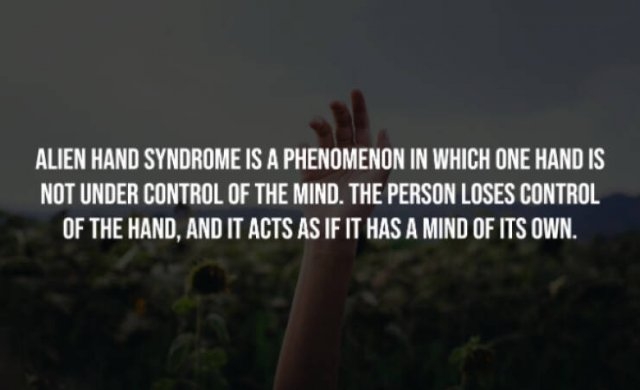 interestingfacts226_003