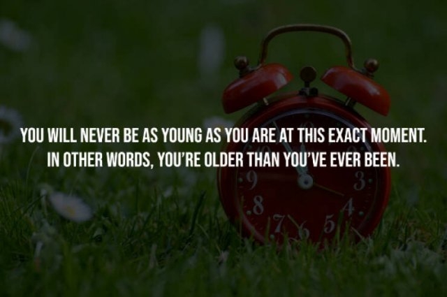 interestingfacts226_004