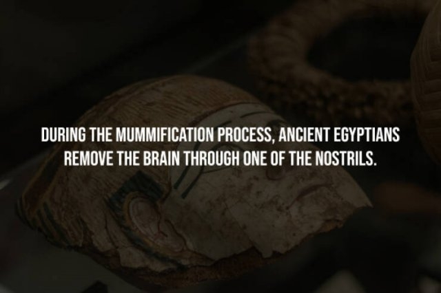 interestingfacts226_006