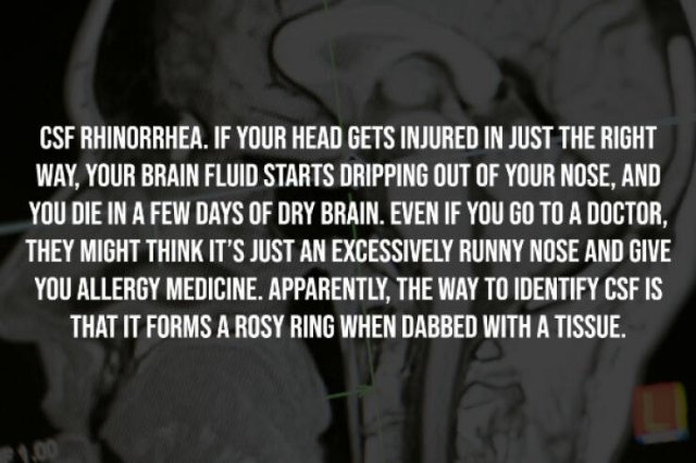 interestingfacts226_008