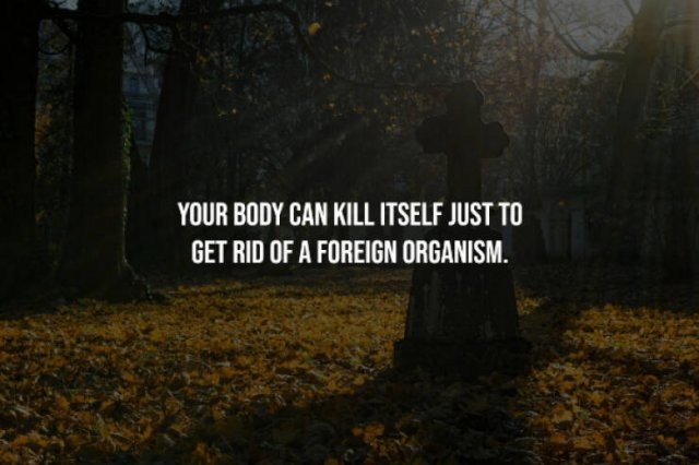 interestingfacts226_013