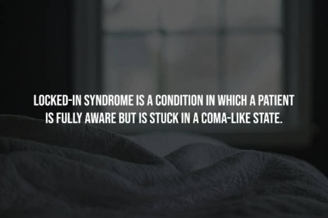 interestingfacts226_014