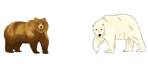 interestingfacts227_008