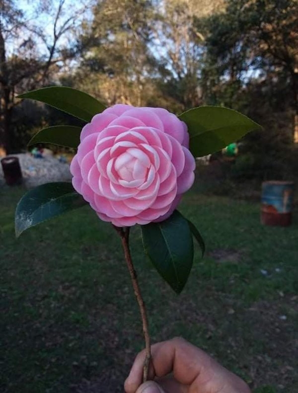 perfectphotos106_003