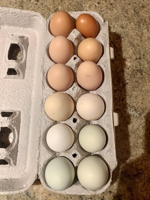 perfectphotos106_006