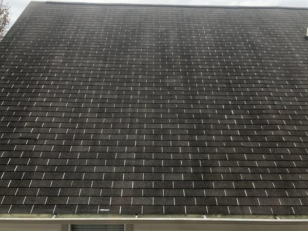 perfectphotos106_014