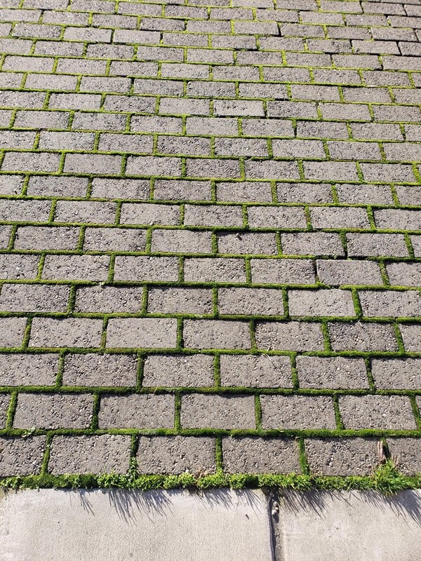 perfectphotos106_019