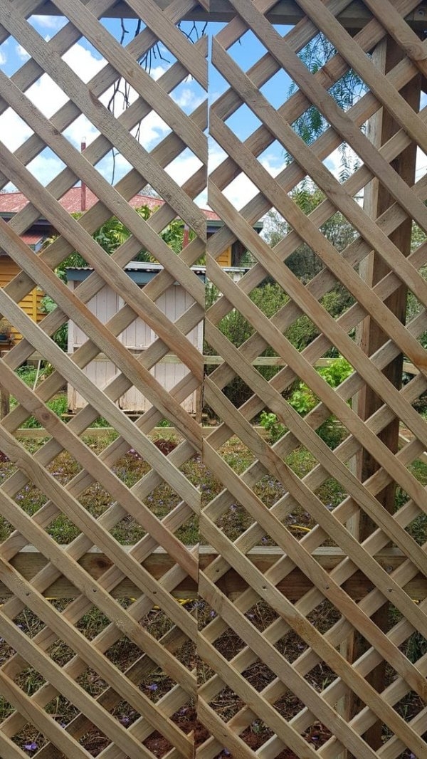 perfectphotos108_014