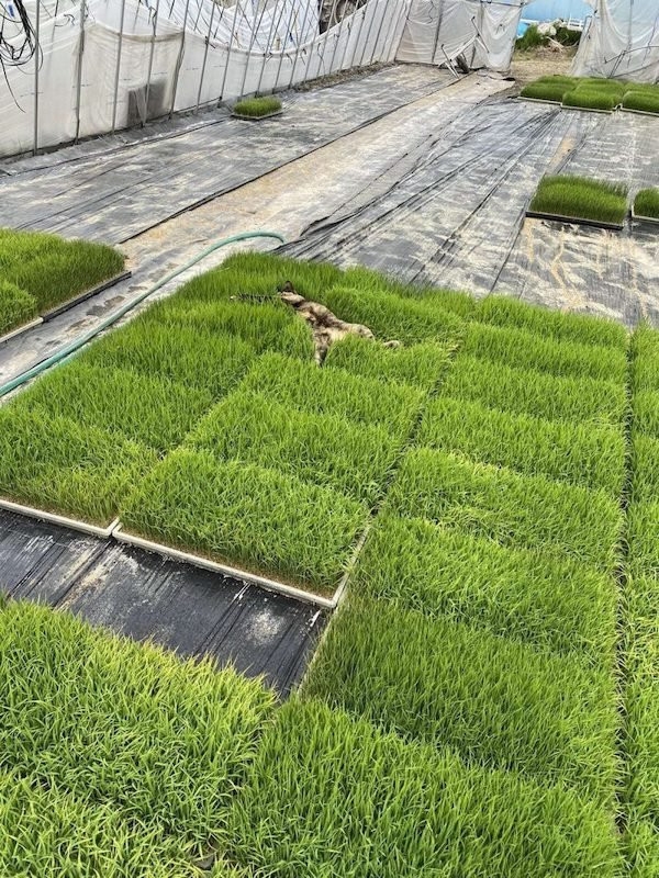 perfectphotos109_017