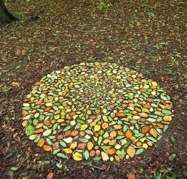 perfectphotos110_004