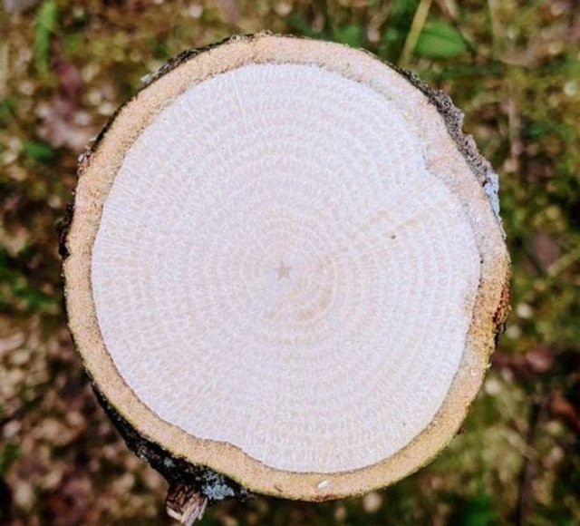 perfectphotos110_017