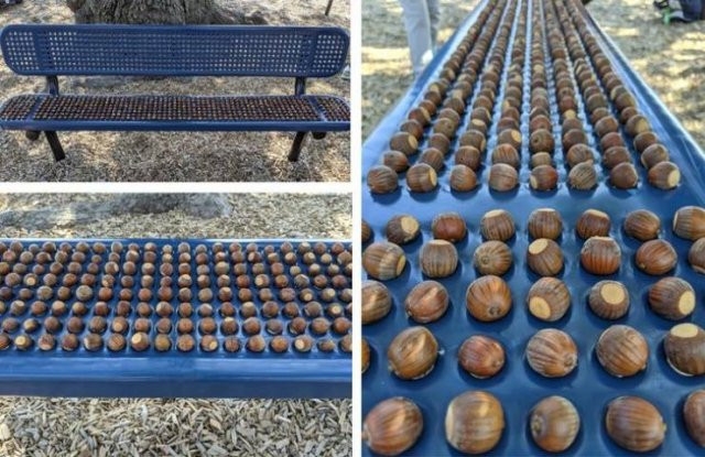 perfectphotos110_018