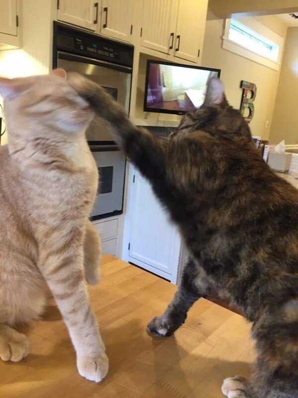 perfectphotos110_022