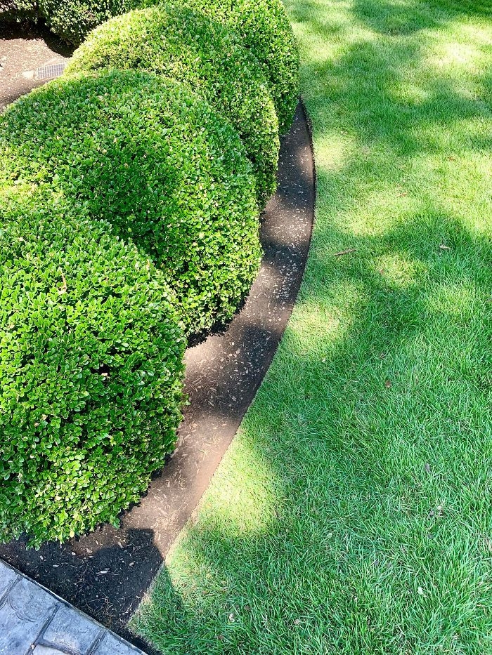 perfectphotos111_002