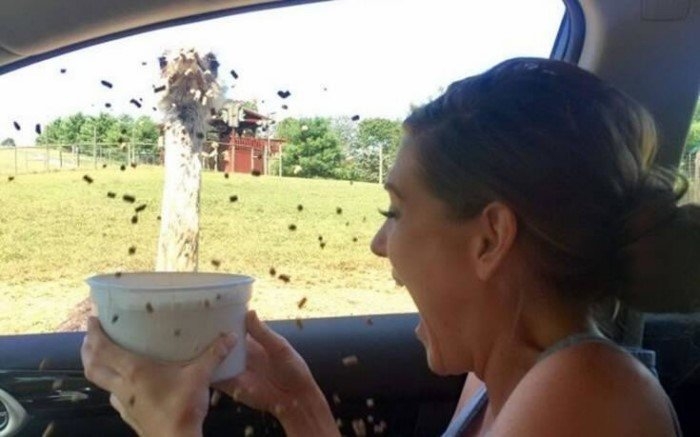 perfectphotos112_021